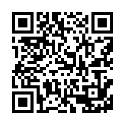 DOGE wallet QR code for the address shown above